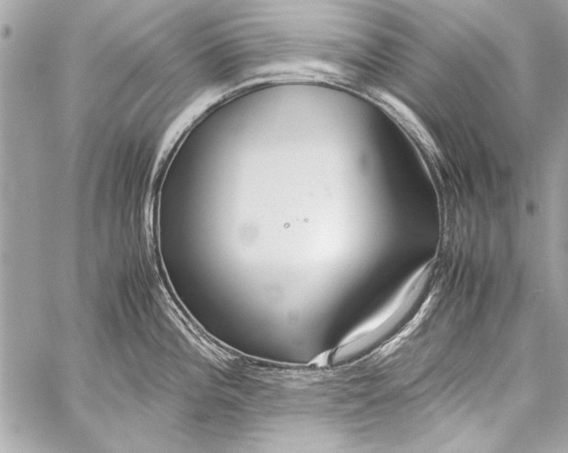 X0000057061196200510071358