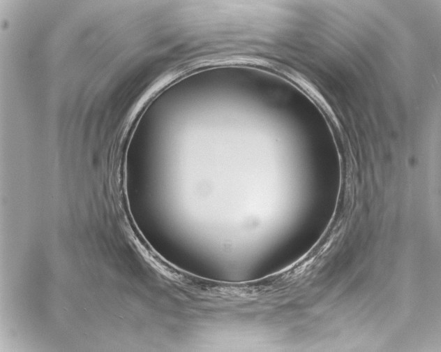 X0000057061197200510071358