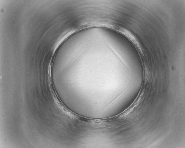 X0000057061198200510071358