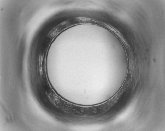 X0000057061199200510071358