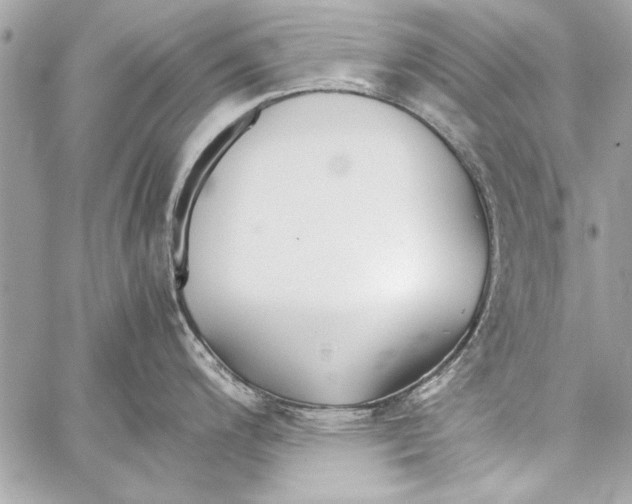 X0000057061200200510071358