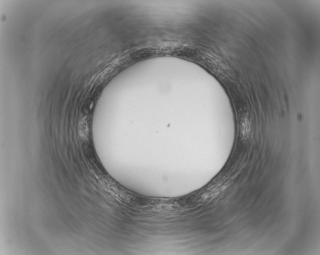 X0000057061204200510071358