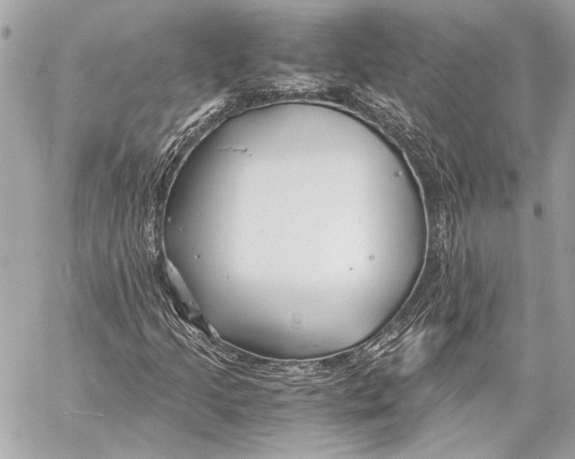 X0000057061205200510071358