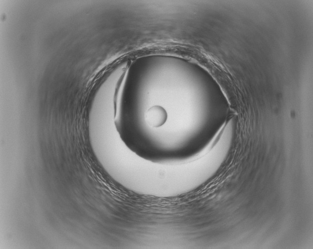 X0000057061206200510071358