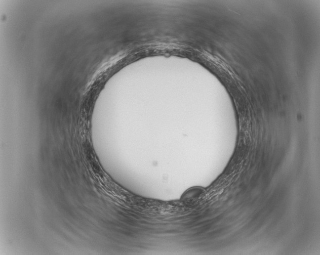 X0000057061207200510071358