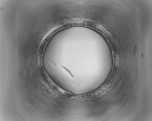 X0000057061208200510071358