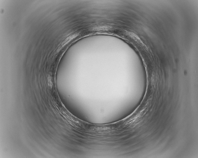 X0000057061209200510071358