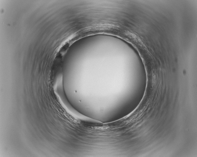 X0000057061210200510071358