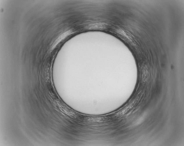 X0000057061211200510071358