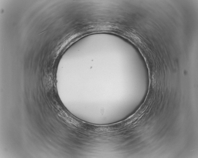 X0000057061212200510071358