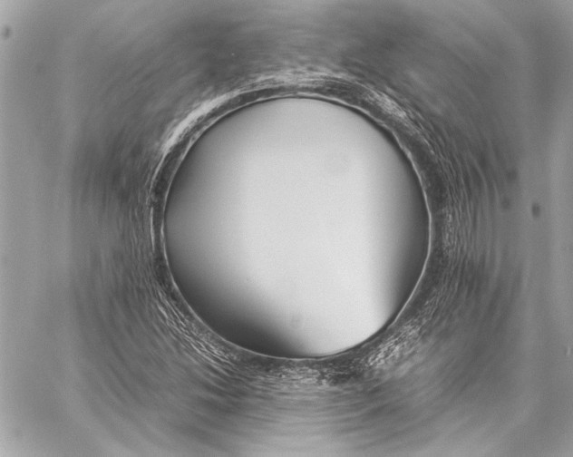 X0000057061214200510071358