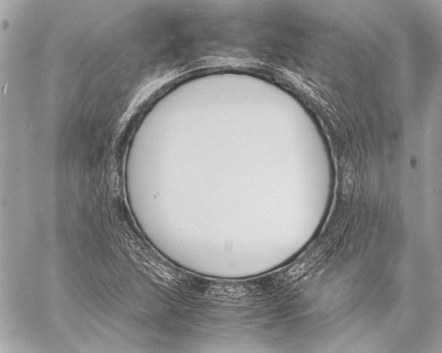 X0000057061215200510071358