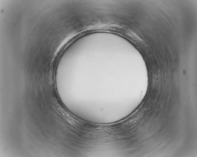 X0000057061216200510071358