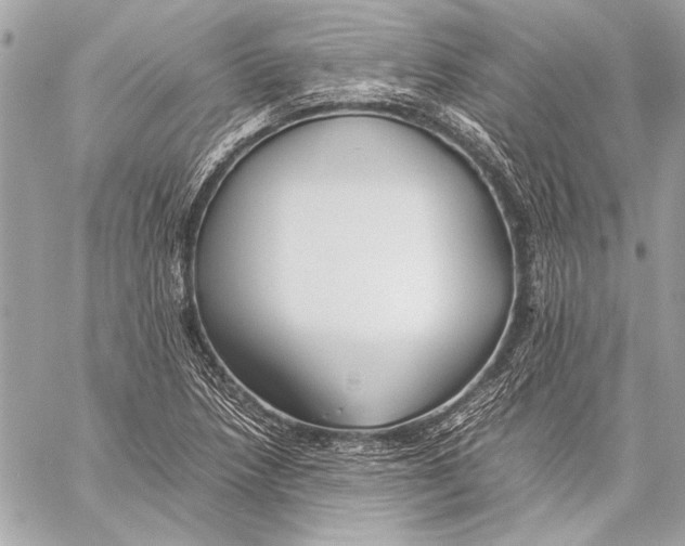 X0000057061218200510071358