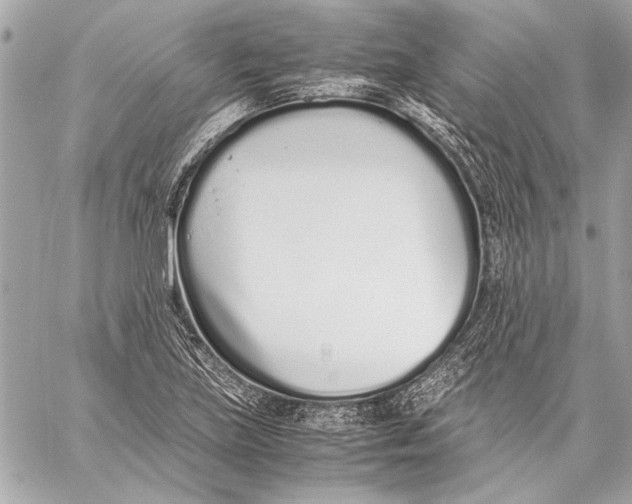 X0000057061219200510071358