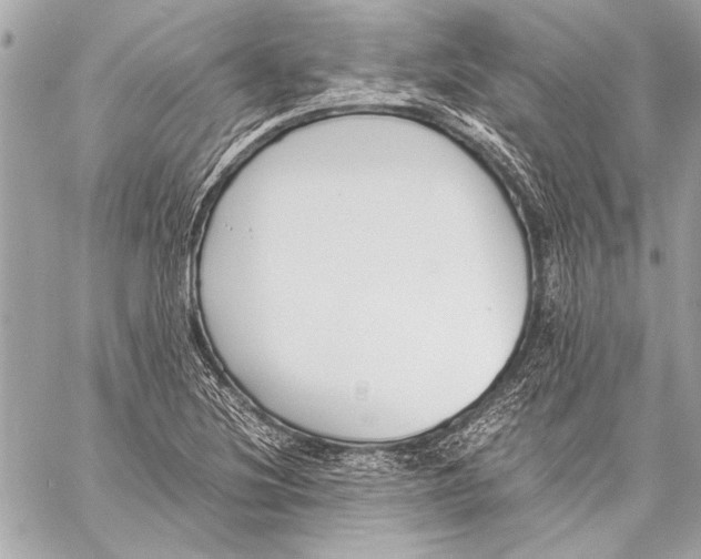 X0000057061220200510071358