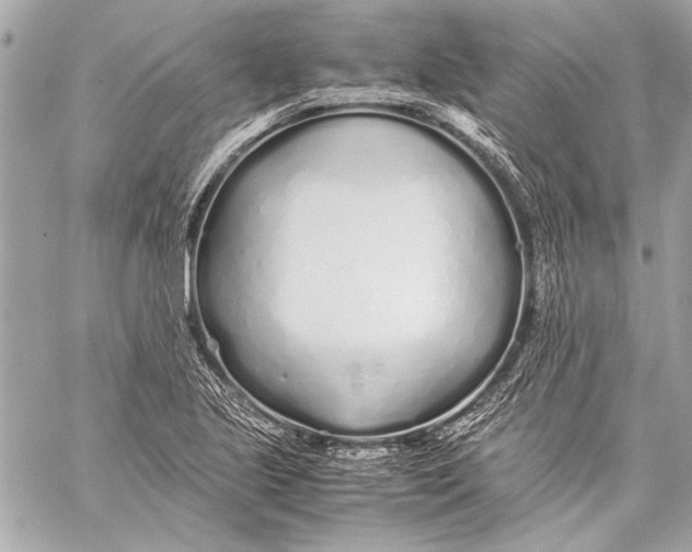 X0000057061221200510071358