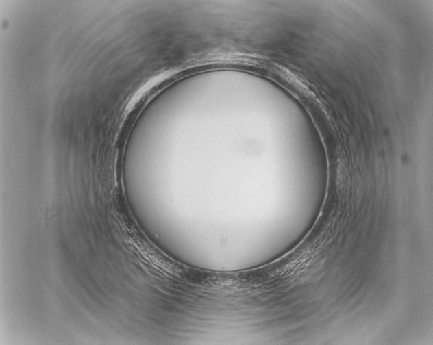 X0000057061222200510071358