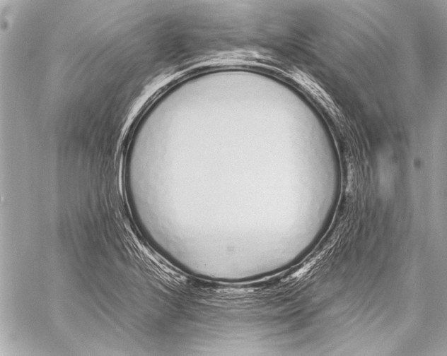 X0000057061224200510071358