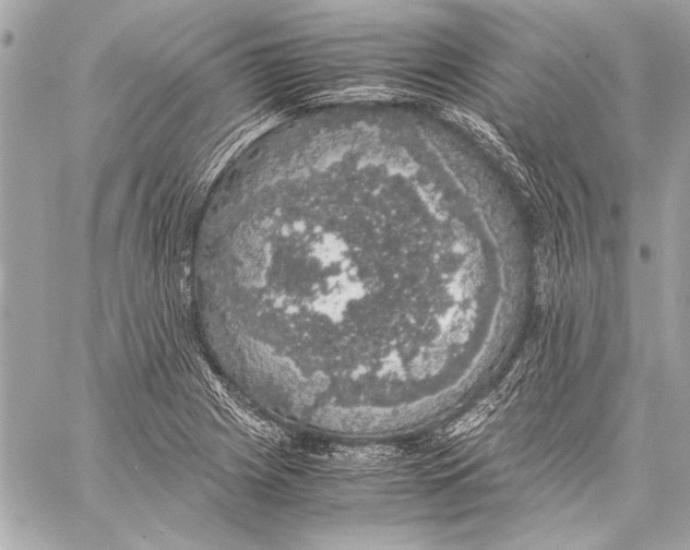 X0000057061225200510071358