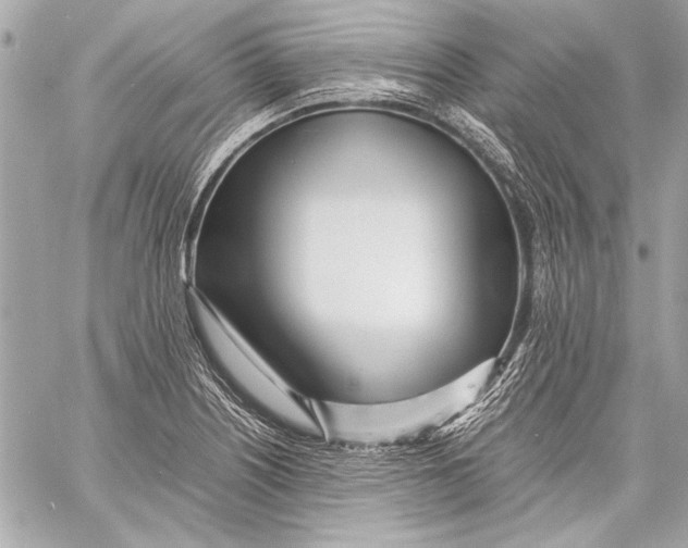 X0000057061226200510071358