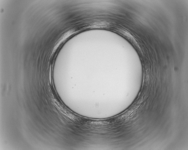 X0000057061227200510071358