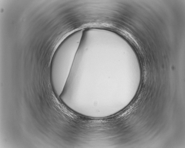 X0000057061228200510071358