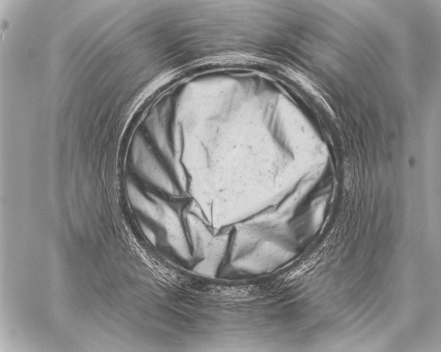 X0000057061229200510071358