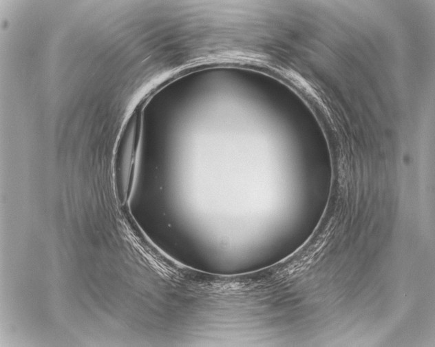 X0000057061230200510071358