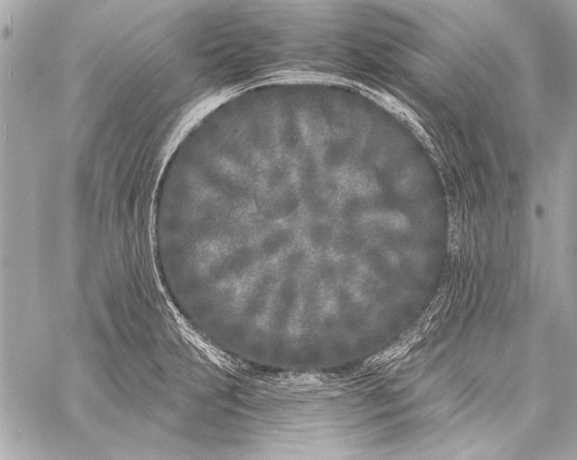 X0000057061231200510071358