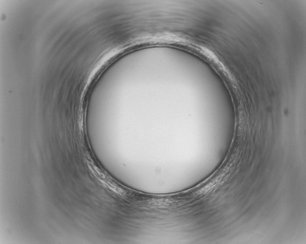 X0000057061232200510071358