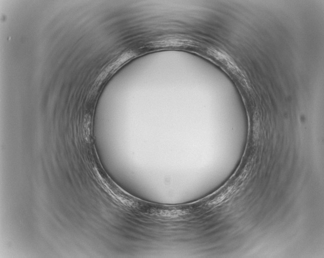 X0000057061233200510071358