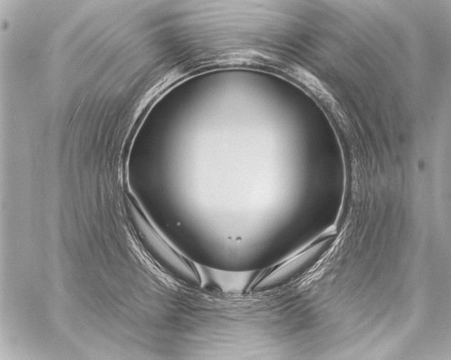 X0000057061234200510071358