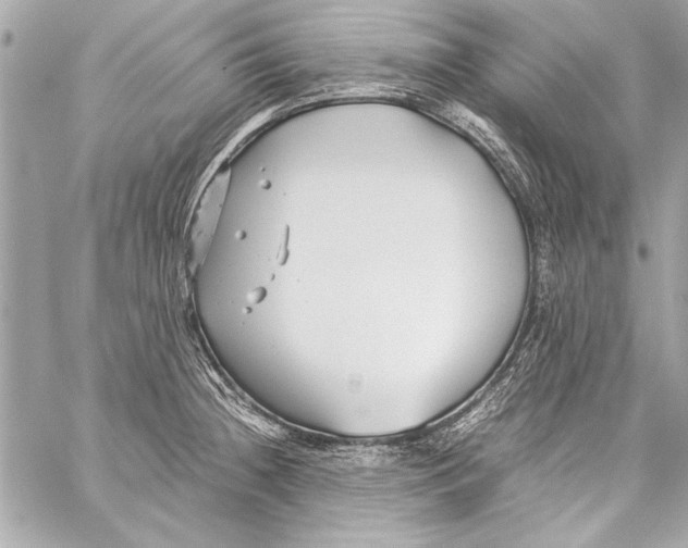 X0000057061236200510071358