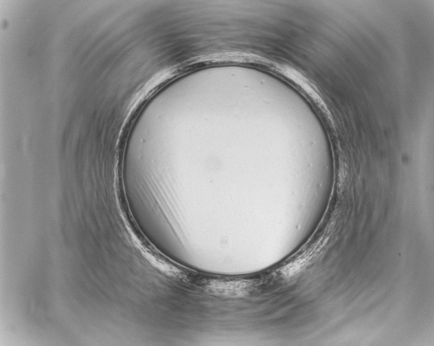 X0000057061237200510071358