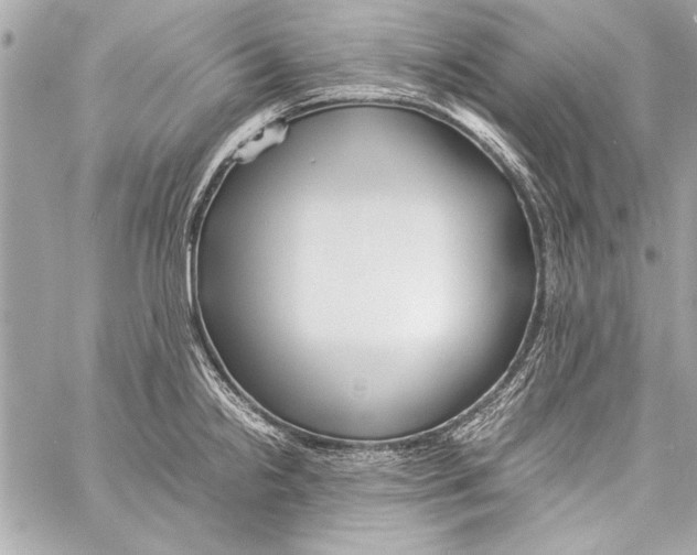 X0000057061238200510071358