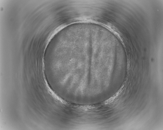 X0000057061239200510071358