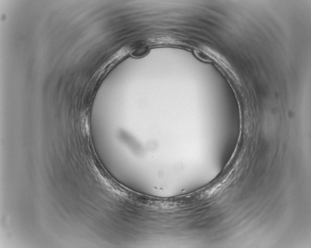 X0000057061241200510071358