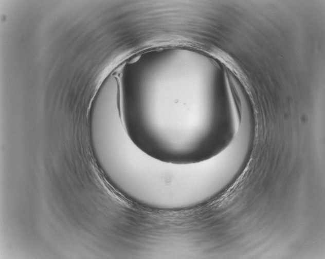 X0000057061242200510071358