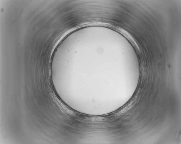 X0000057061244200510071358