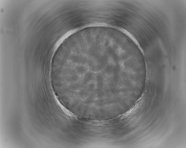 X0000057061245200510071358