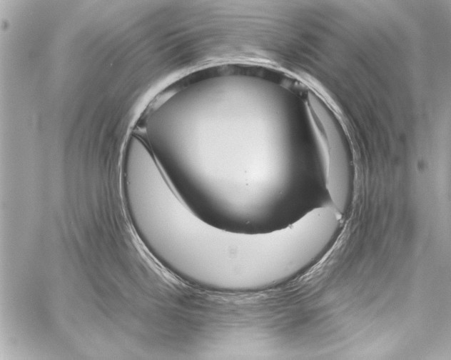 X0000057061246200510071358