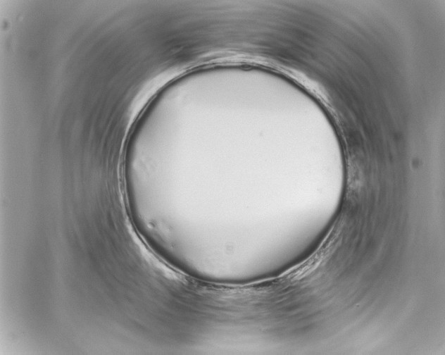 X0000057061247200510071358