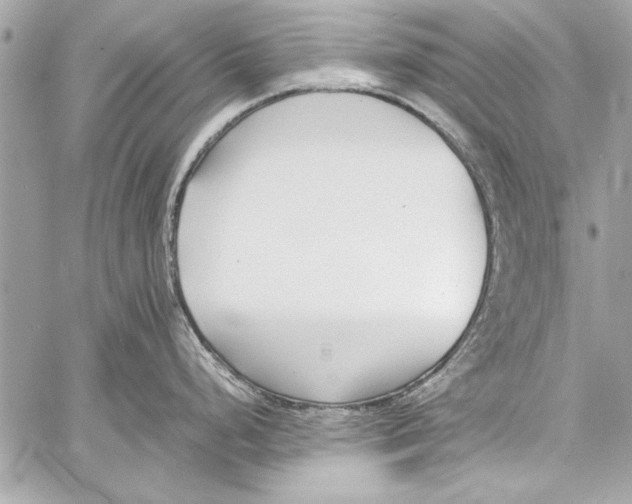 X0000057061248200510071358