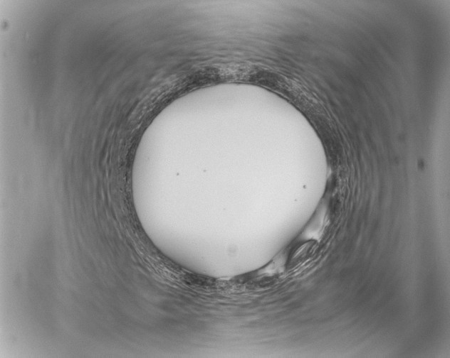 X0000057061249200510071357