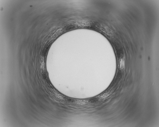 X0000057061251200510071357