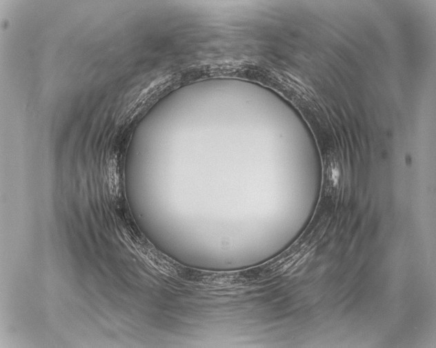 X0000057061252200510071357