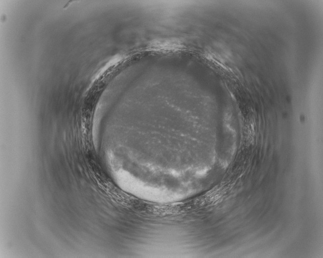 X0000057061254200510071357