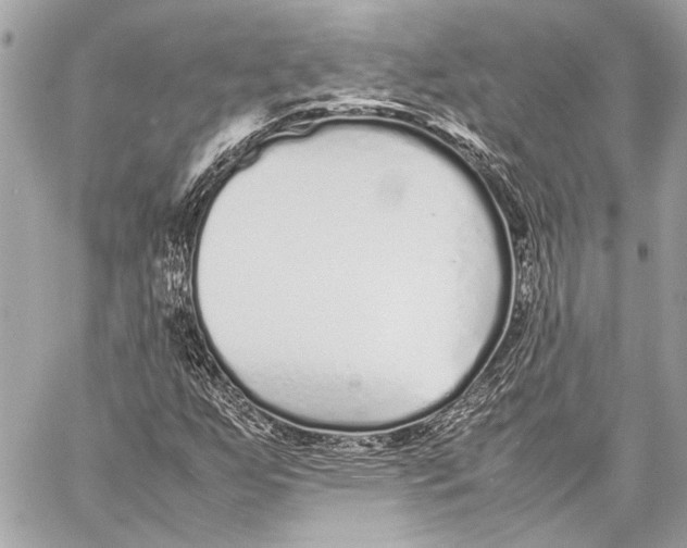 X0000057061255200510071357