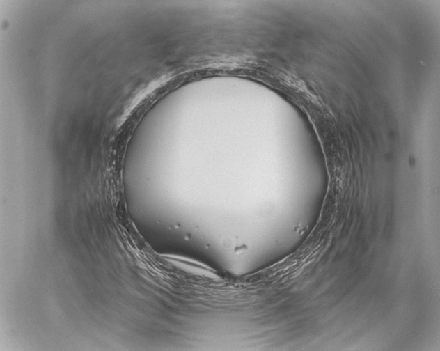 X0000057061256200510071357